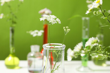 Test tubes and flowers, Herbal medicine, concept of herbal medicine research