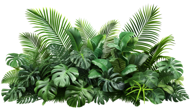 Jungle foliage plant bush floral arrangement nature