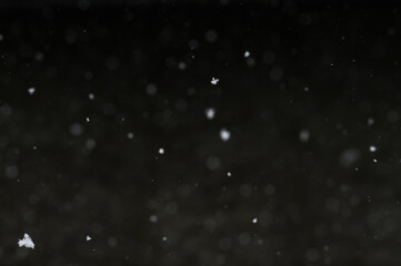 Bokeh of white snow on a black background. Snowfall - design element.