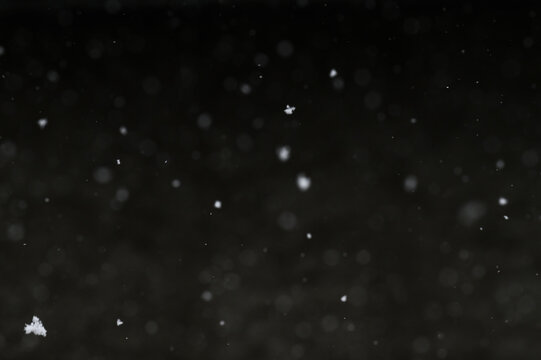 Bokeh of white snow on a black background. Snowfall - design element.