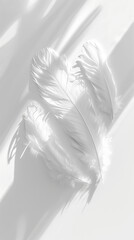 Three elegant white feathers against light background with sun rays and shadows. Airy concept. Copy space. Generative AI