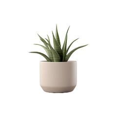Plant pot isolated on transparent background