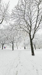 Neuschnee in der Großstadt