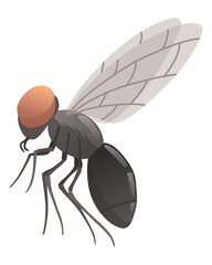 Housefly insect icon. Wildlife symbol in cartoon style. Scary insect. Graphic design element. Entomology closeup color illustration isolated on white background