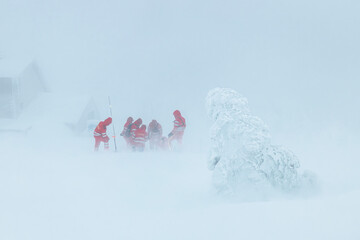 Paramedic team of emergency service helping in mountains in winter during blizzard. Selective focus on snowy tree. Themes rescue in extreme weather.. © Chalabala