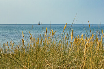 Blick durch die Dünen auf ein Segelboot auf der Ostsee - 724630449
