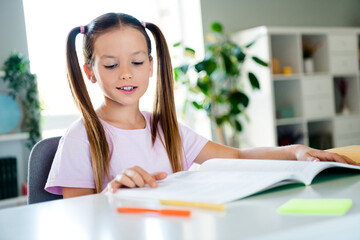 Portrait of cheerful diligent schoolkid sit chair read book prepare lesson test morning apartment...