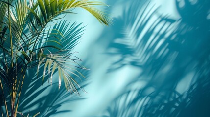 light blue wall and blurred shadow from palm leaves