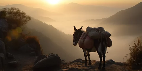 Tuinposter Loaded Domestic Donkey With Bags On A Mountain Path At Sunset © Ievgen Skrypko