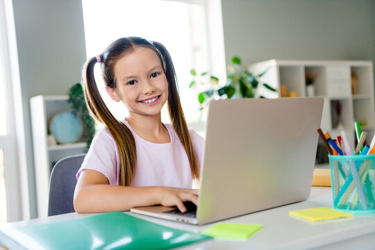 Portrait of little intelligent schoolkid sit chair use laptop online classroom modern interior flat indoors