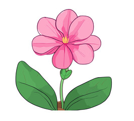Fototapeta premium pink flower isolated on white background