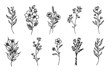 Continuous Line Drawing Set Of Plants Black Sketch of Flowers Isolated on White Background. Flowers One Line Illustration. Minimalist Prints Set.