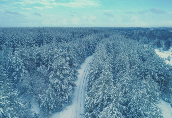 Nature winter background. View from above of snowy forest and country road. Pine trees are covered with snow. Winter nature. Christmas background
