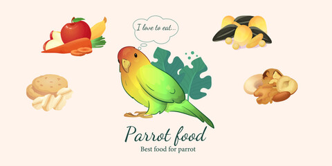 Flat illustration of a pet parrot, illustration with stroke and fill.  Illustration of different food for a parrot, vegetables and fruits, nuts, cereals and different seeds.