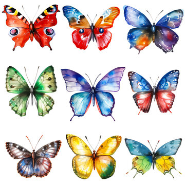 This image is a collection of colorful butterflies drawn in a watercolor style, each with a unique and vibrant color and pattern on their wings. They can be used for educational purposes to illustrate