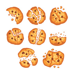 Traditional cookies with chocolate crisps, Bitten chip cookie, Bitten and broken cookie with chocolate. Vector illustration isolated on white background.