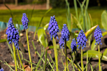 spring is in the air