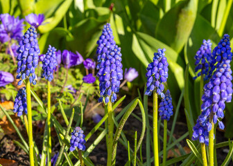 spring is in the air