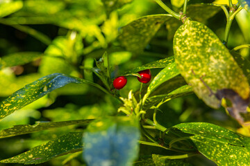 Obraz premium spring is in the air