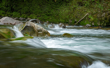 fast streaming water, waioeka gorge, waioeka river, waioeka scenic reserve, highway 2,  new zealand, forest, 