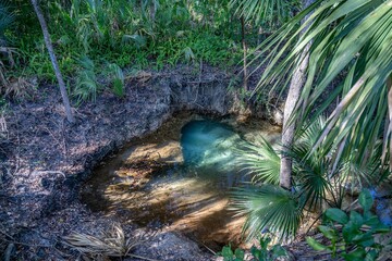 gemini springs