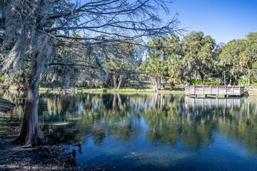 gemini springs