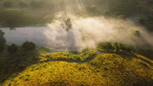 Aerial view of lake covered morning fog in valley of Santa Monica mountains, Los Angeles suburban, California, USA. Green countryside field illuminated by sun rays. Breathtaking misty landscape
