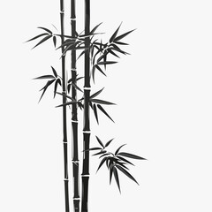 Obraz premium Illustration of bamboo leaves, japanese style, zen