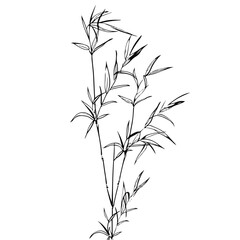 Obraz premium Illustration of bamboo leaves, japanese style, zen