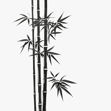 Illustration of bamboo leaves, japanese style, zen