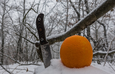 fresh orange with a bushcraft knife in the snow during hiking