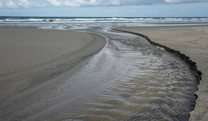 Fototapeten Coast and beach at Beach Bay of plenty. New Zealand. Sandy beach. River mouth. © A
