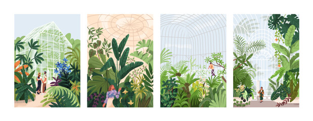 Botanical garden, green leaves, foliage plants. People walking in natural greenhouses with lush vegetation, cards backgrounds set. Greenery, orangery, nature in glasshouses. Flat vector illustrations - 724683836
