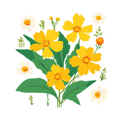 flowers on white background