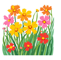 spring flowers and grass