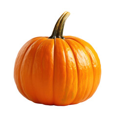 Obraz premium pumpkin on transparent background
