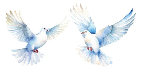 watercolor of dove bringing peace - obrazy, fototapety, plakaty