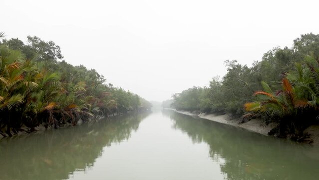 a foggy winter morning at Sundarbans Bangladesh. this HD  high resolution video was naken from sundarbans national park,Bangladesh.