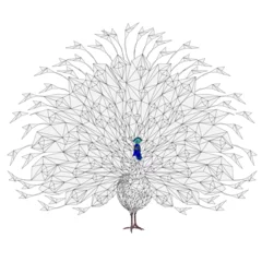 Fotobehang Peacock beauty tropical bird outline low-polygon  on a white background  watercolor  vector illustration editable hand drawn © zdenat5