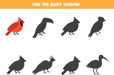 Find shadow of cute red cardinal bird. Educational logical game for kids.