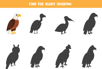 Find shadow of cute bald eagle bird. Educational logical game for kids.