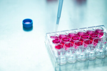 Cell culture experiments at fume hood