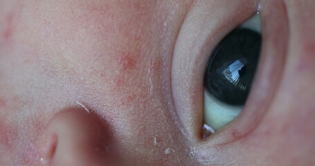 Fototapeta premium Newborn baby eyes observing and learning about the world, macro close-up of infant eye