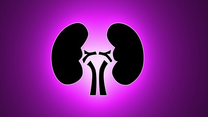 Neon human kidney icon. Kidney neon sign, modern bright banner design, purple and black modern design trend on black background. Adult body anatomy, health biology, internal world of people.