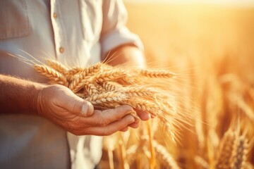 Harvest Hands Holding Wheat Sheaves