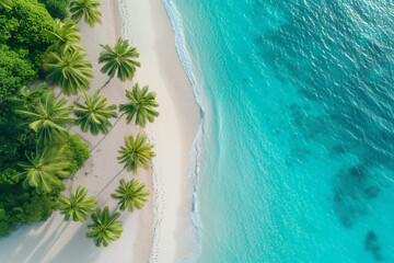 Fototapeta na wymiar Tropical Beach Paradise with Aerial View , Palm Trees, White Sand, and Turquoise Sea
