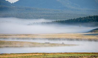 Hayden Valley Yellowstone national park © digidreamgrafix