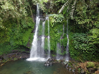 waterfall in the forest