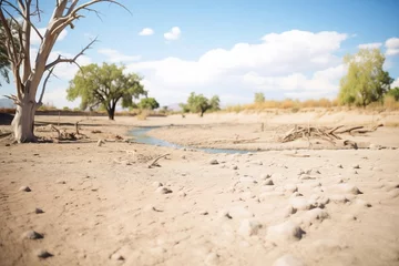 Fotobehang dry riverbed during a drought © studioworkstock