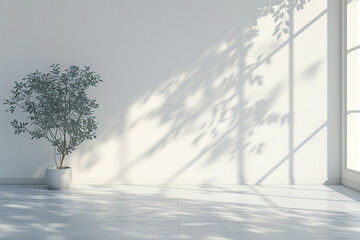 Minimal style interior white empty room with sunlight and leaves shadows in modern house. Copy space